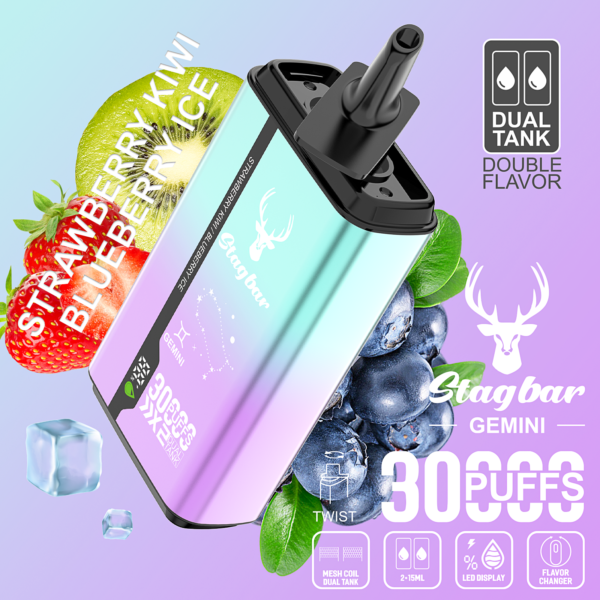 STAG BAR Gemini 2in1 30000puffs | Dual Flavor Portable Pod