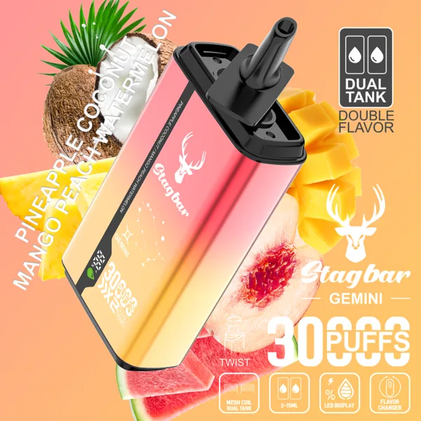 STAG BAR Gemini 2in1 30000puffs