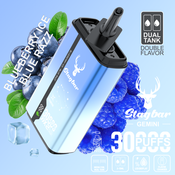 Stag Bar Gemini 30000 30K Puffs Dual-Flavor Disposable Vape