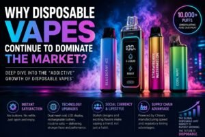 Why disposable vapes dominate the market infographic by GlimVape wholesale supplier
