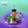 Bulk Order Uwin Shisha 300K Disposable Vape Grape Mint